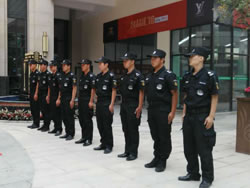 物業(yè)保安服務